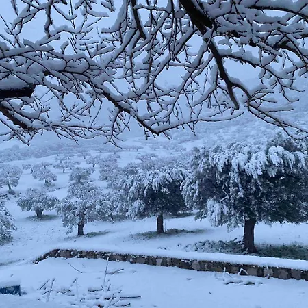 Cheerful 3 Bedroom With Indoor Fireplace *